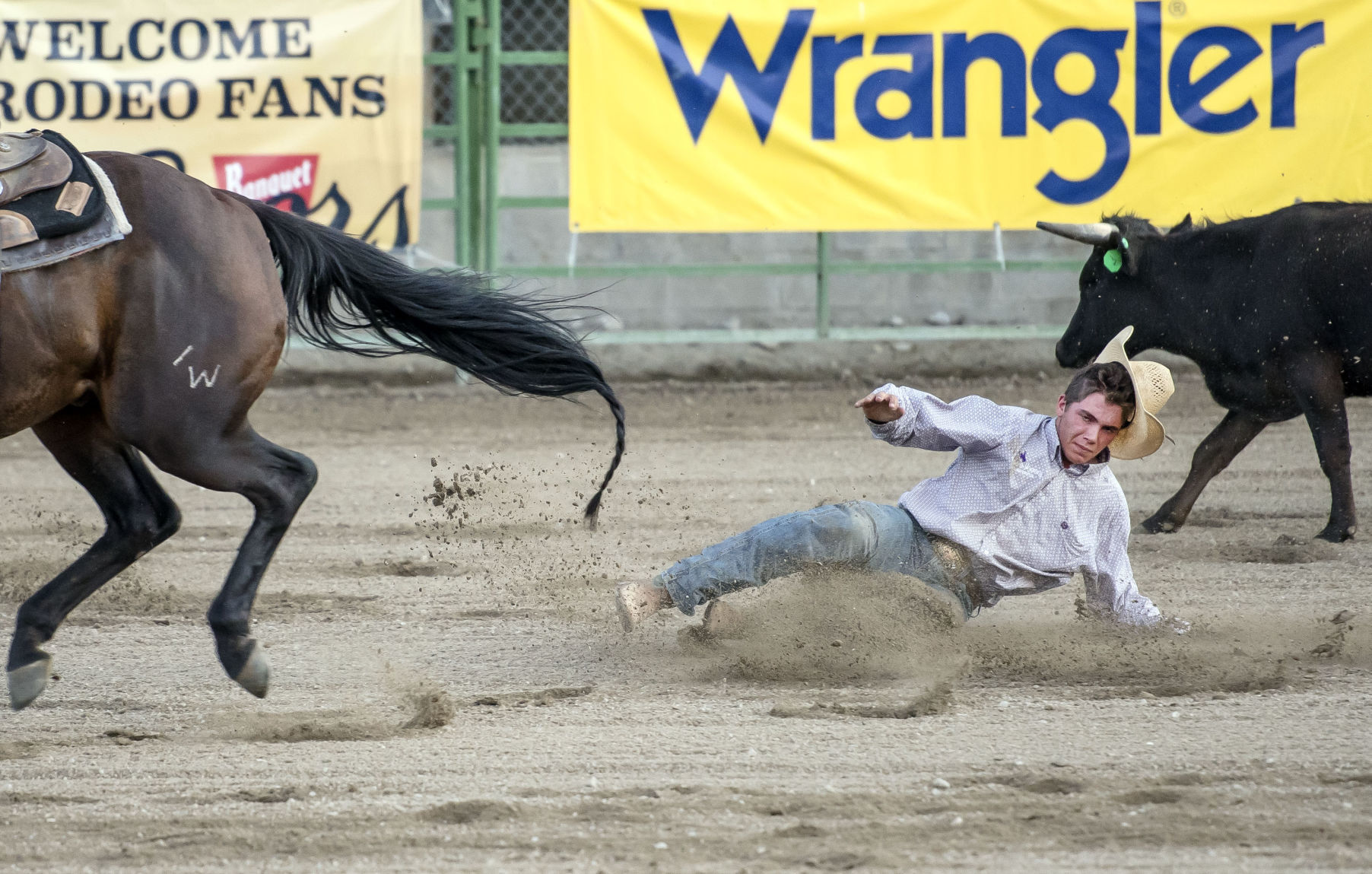 Jackson Hole Rodeo